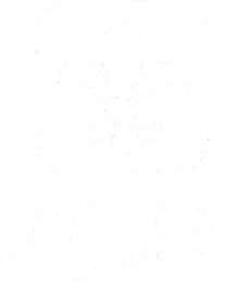 Logo DOMKI AGAS